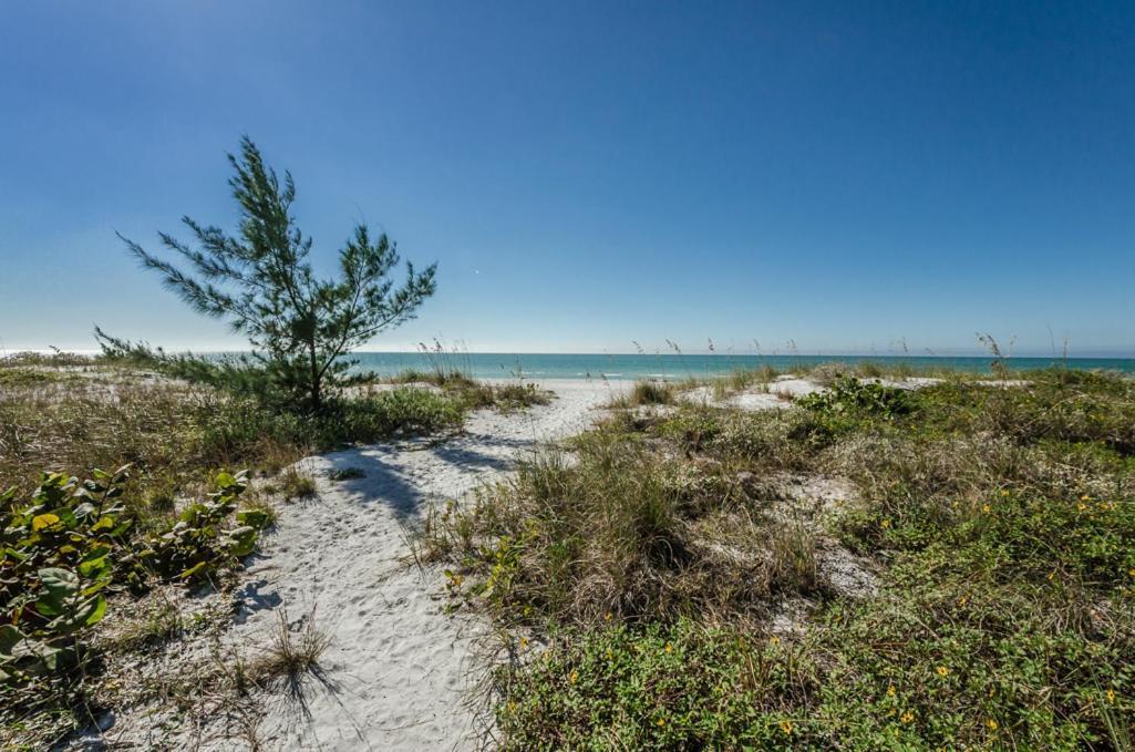 The New Hotel Collection Beachfront Clearwater Beach Exterior photo